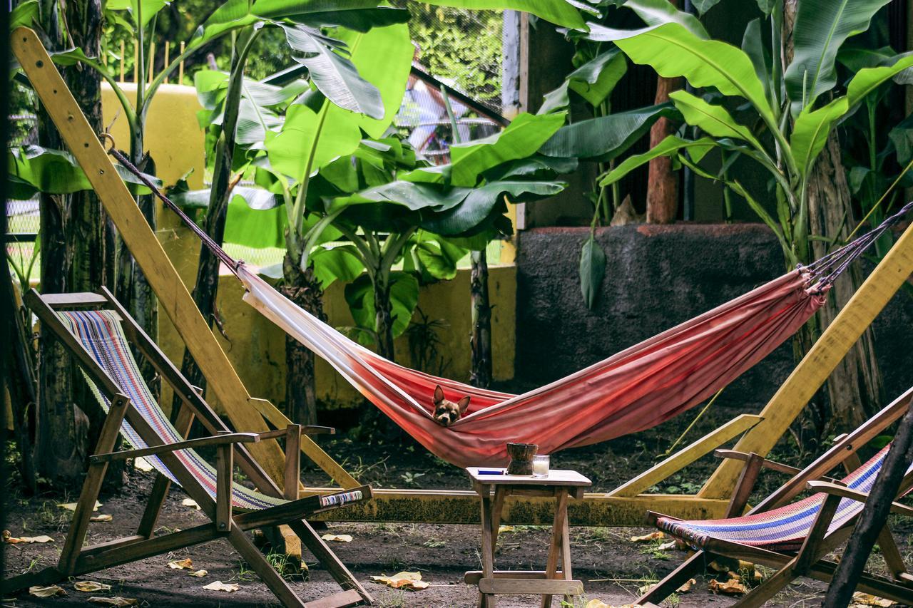 Hostel Life Is Good 莫约加尔帕 外观 照片